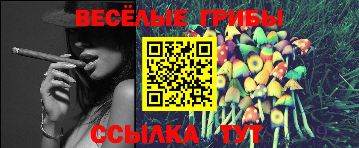 Туймазы  Галлюциногенные грибы MAGIC MUSHROOMS  Вход с VPN 